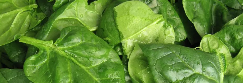 Ketogeen eten: wat is het en waarom zou je het doen?