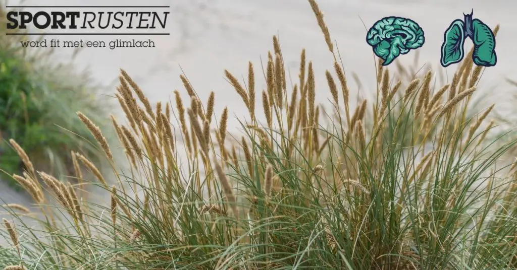 Dé reden om een ademhalingsoefening te willen doen