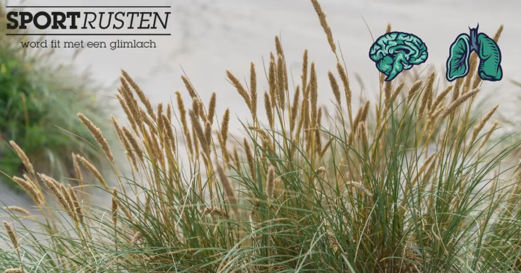 Hoe vind je je roeping (of hoeft dat niet)?