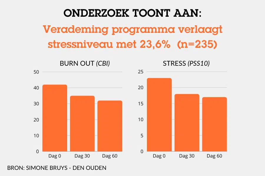 Verademing 30 dagen: Inclusief Verademing boek