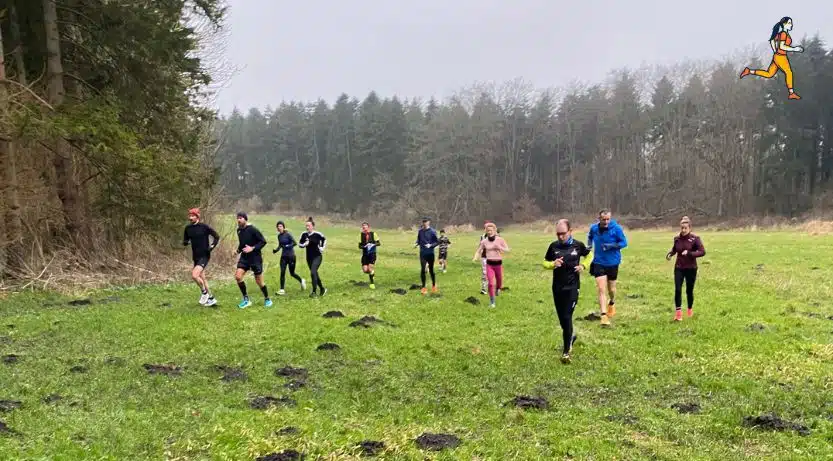 De 7 trainingen van Sportrusten uitgelegd
