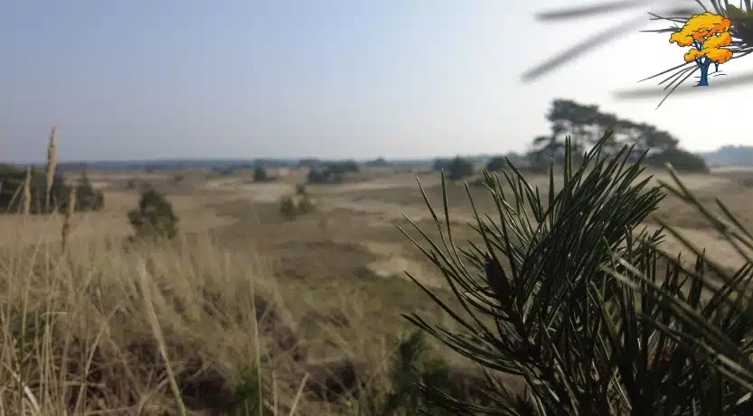 Neusademhaling: de wetenschap duikt erop