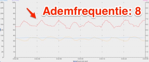 ademhaling, ademhalingsfrequentie 8