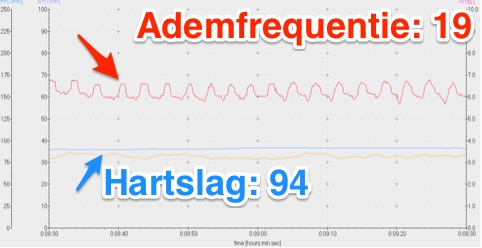 Ademhaling van 19 per minuut