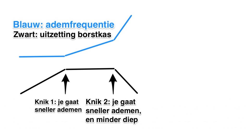 Omslagpunt