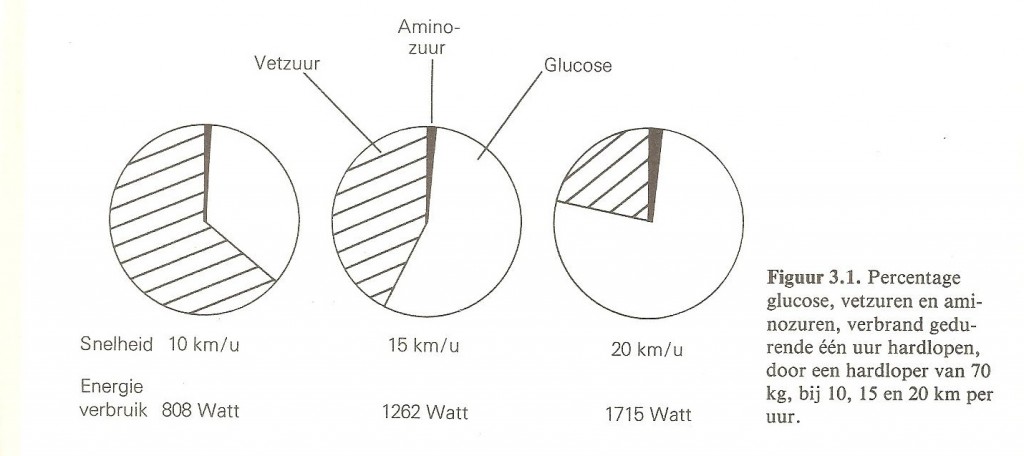 Vetzuren Glucose Aminozuren